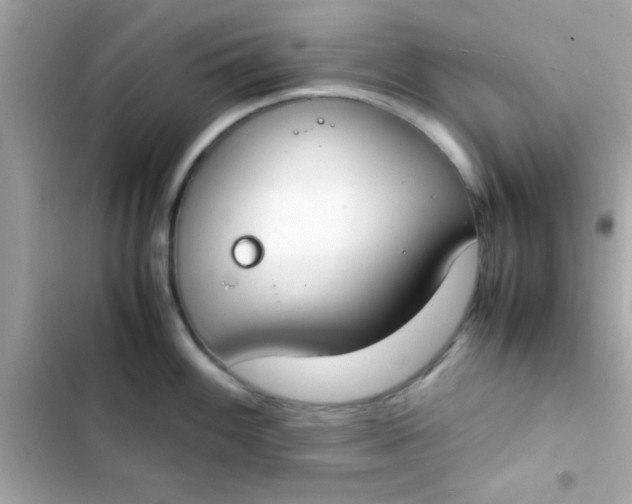 X0000103331100200809192158