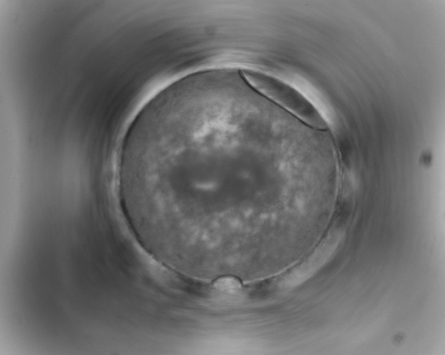 X0000103331101200809192158