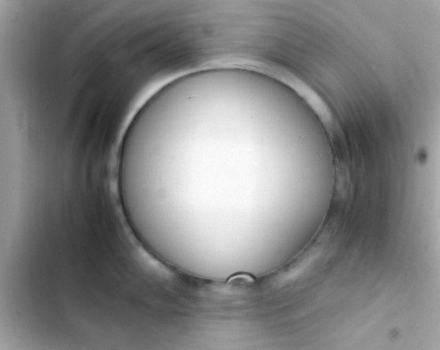 X0000103331102200809192158