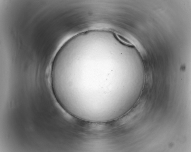 X0000103331103200809192158