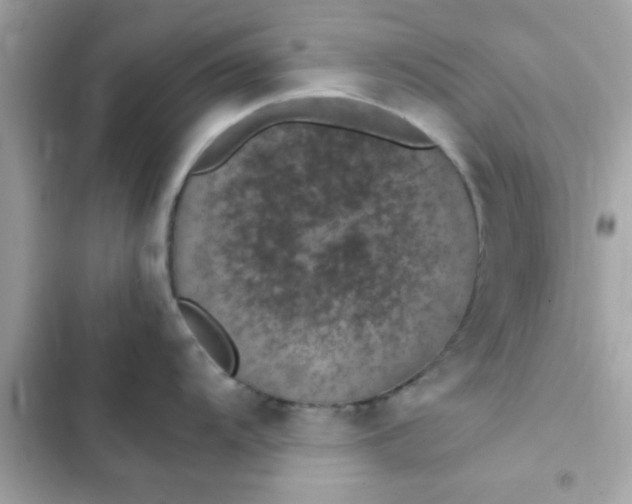 X0000103331104200809192158