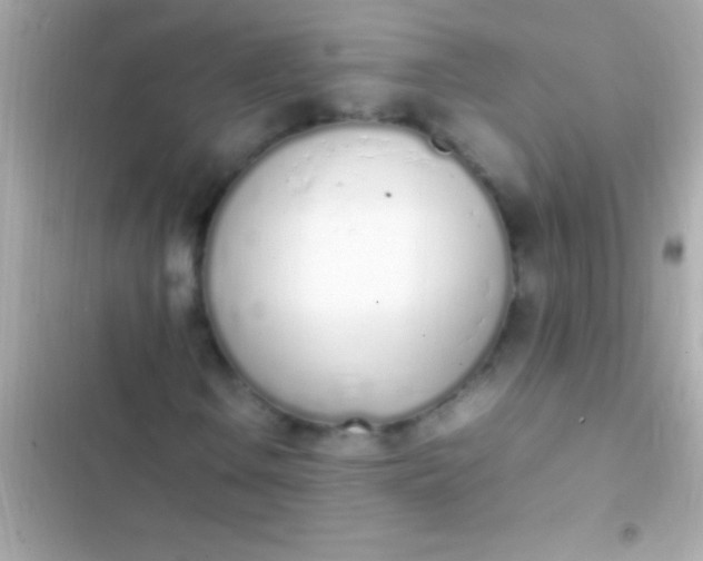 X0000103331106200809192158