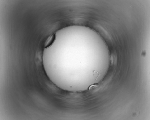 X0000103331107200809192158