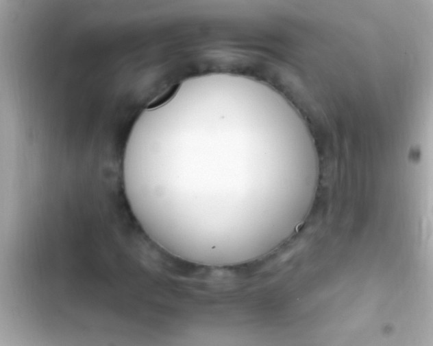 X0000103331109200809192158