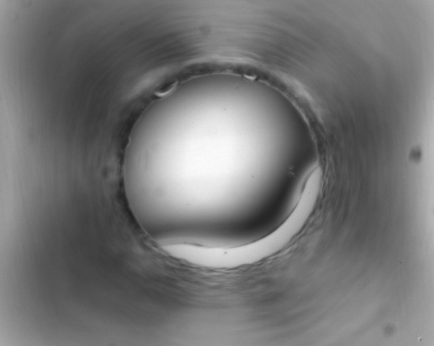 X0000103331110200809192158