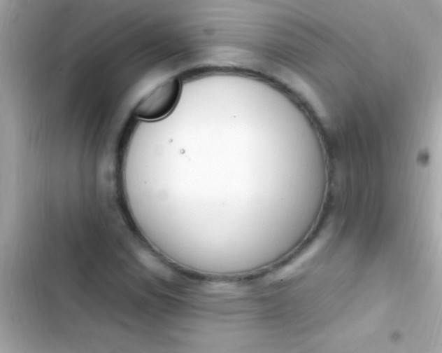 X0000103331114200809192158