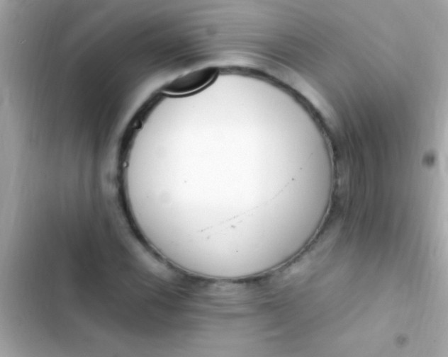 X0000103331116200809192158