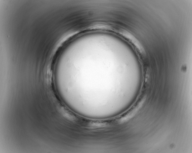 X0000103331117200809192158