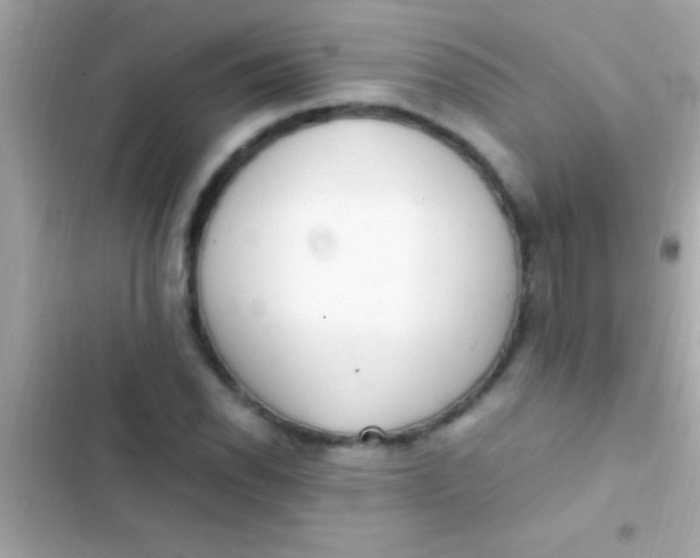 X0000103331118200809192158