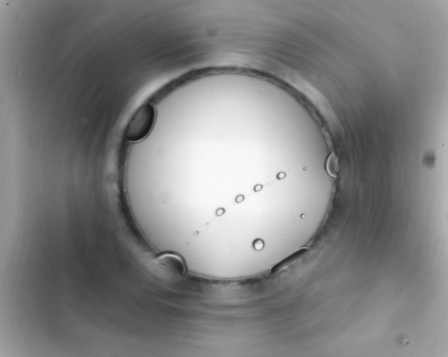 X0000103331120200809192158