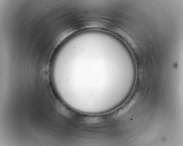 X0000103331121200809192158