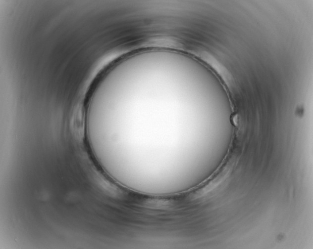 X0000103331123200809192158