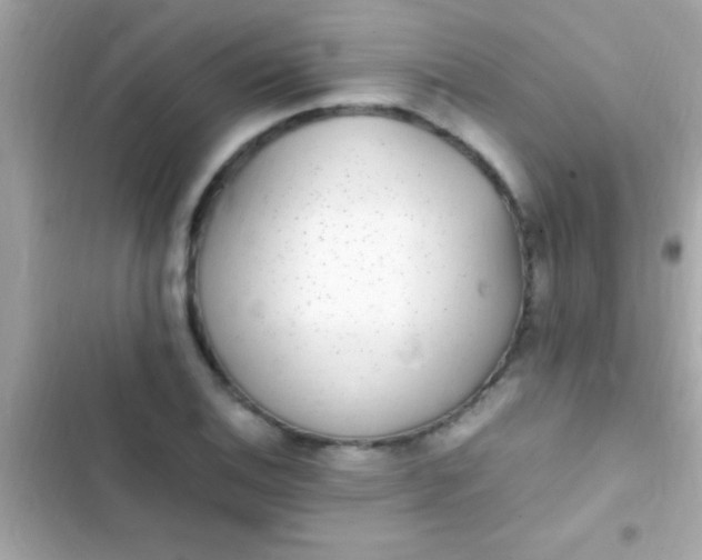 X0000103331124200809192158