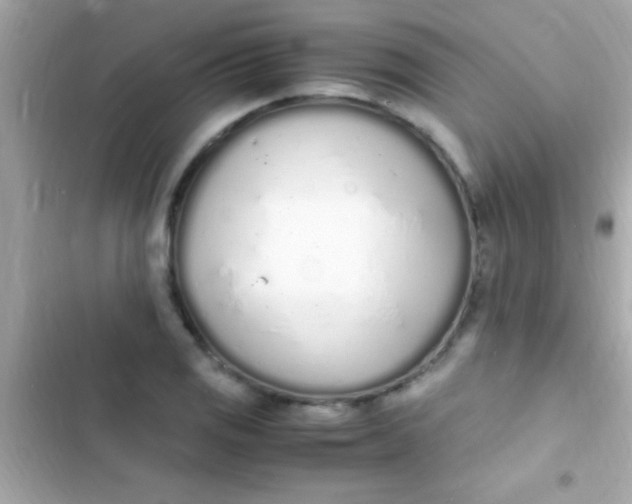 X0000103331125200809192158