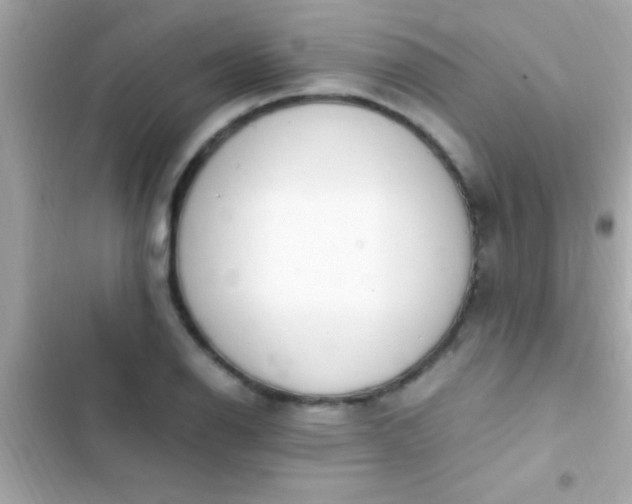 X0000103331126200809192158