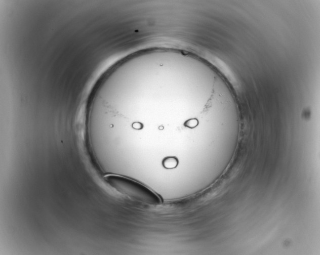 X0000103331128200809192158