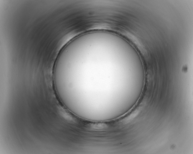 X0000103331129200809192158