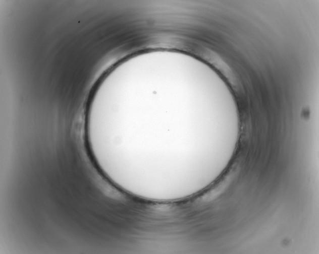 X0000103331130200809192158