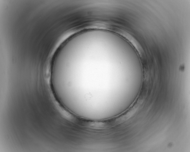 X0000103331131200809192158