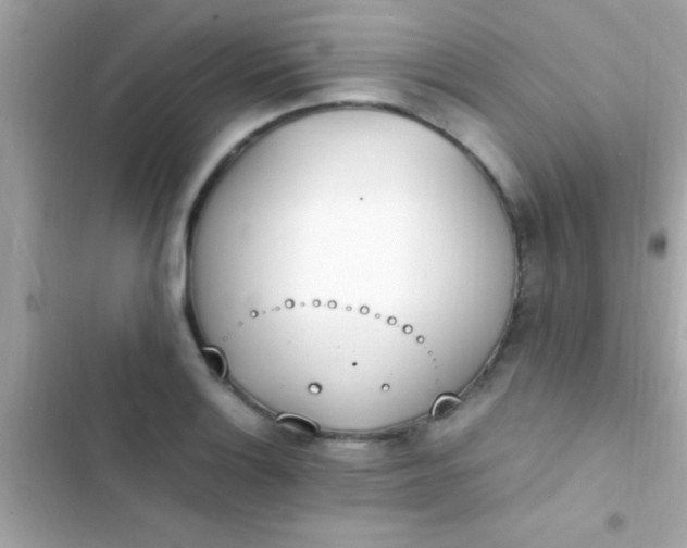 X0000103331132200809192158