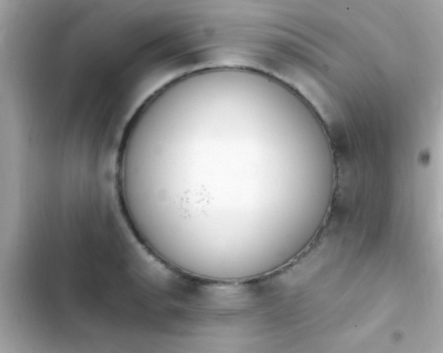 X0000103331134200809192158