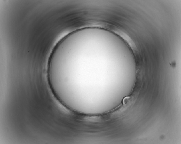 X0000103331135200809192158