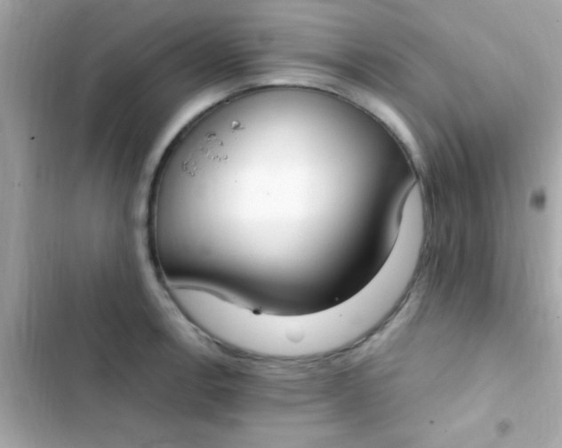 X0000103331138200809192158