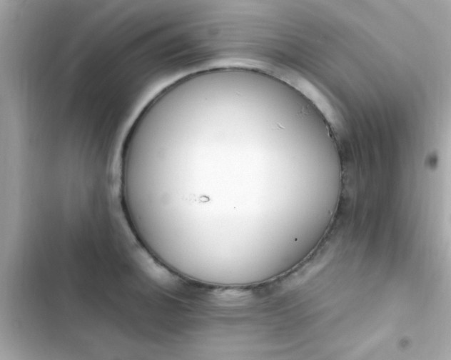 X0000103331140200809192158