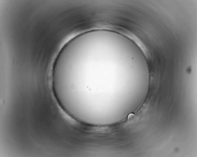 X0000103331143200809192158