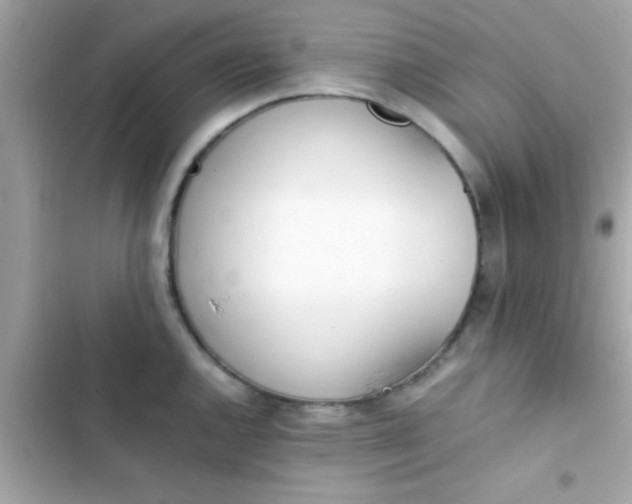 X0000103331144200809192158