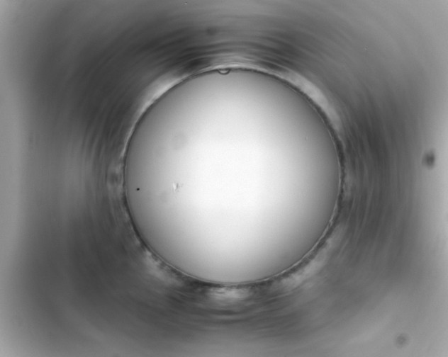 X0000103331145200809192158