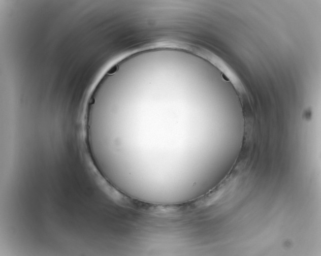 X0000103331148200809192158