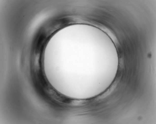 X0000103331150200809192158