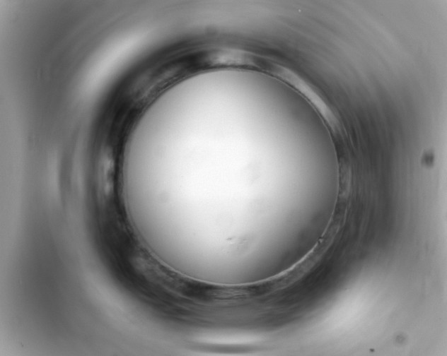 X0000103331151200809192158