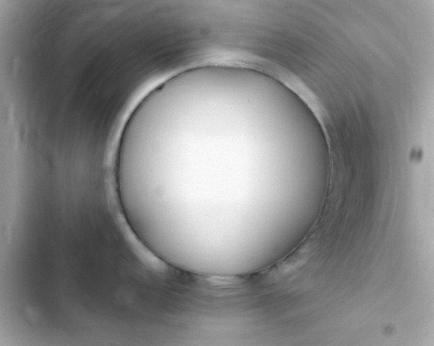 X0000103331152200809192158