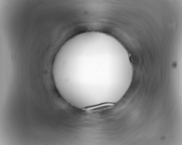 X0000103331153200809192158