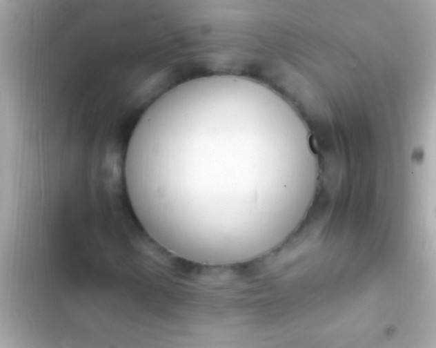 X0000103331154200809192158