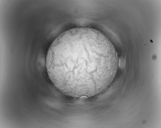 X0000103331155200809192158