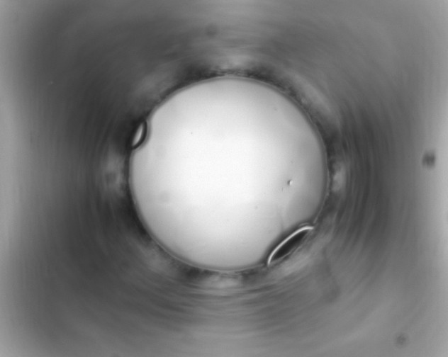 X0000103331156200809192158