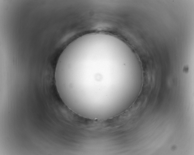 X0000103331158200809192158