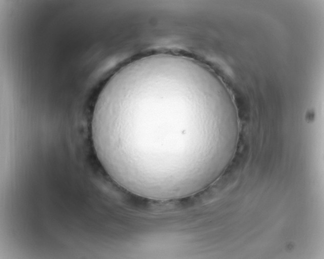 X0000103331159200809192158