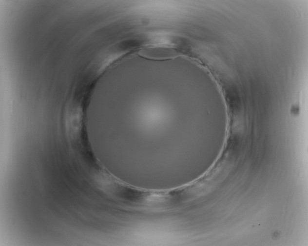 X0000103331161200809192157