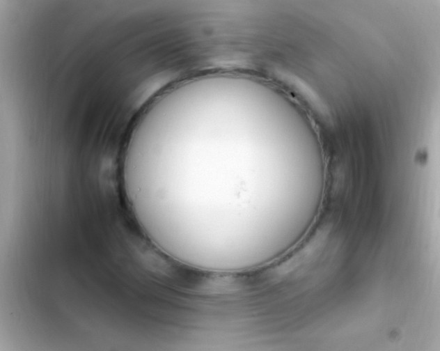 X0000103331162200809192157