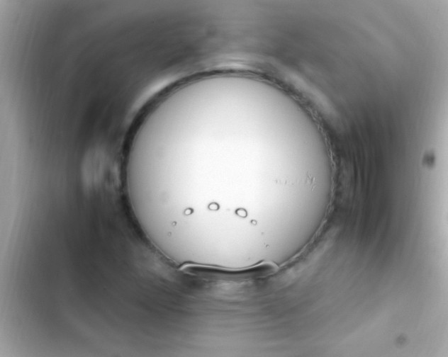 X0000103331166200809192157