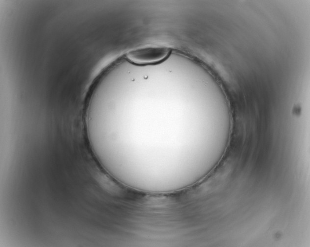 X0000103331168200809192157