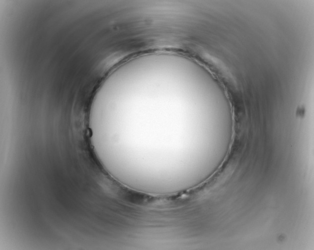 X0000103331169200809192157