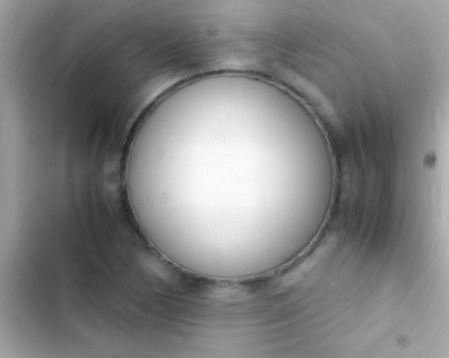 X0000103331170200809192157