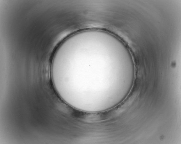 X0000103331171200809192157