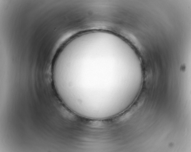 X0000103331172200809192157