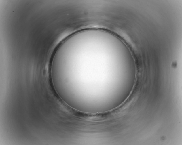 X0000103331173200809192157